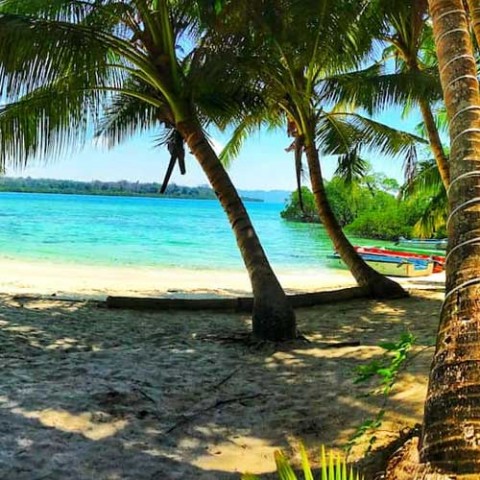 Places to Visit in Havelock Island