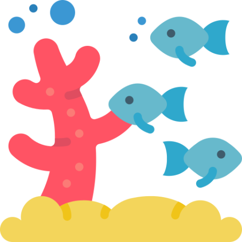Sea Walk