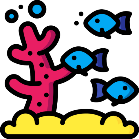 Coral View