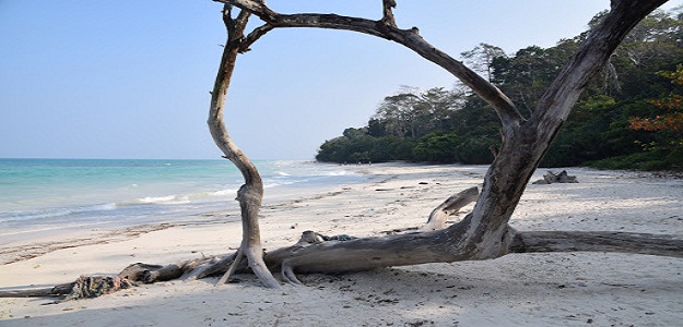 From Havelock Island – Car transfer to Kalapathar Beach -Overnight stay at Havelock Island