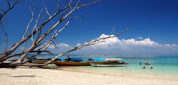 From Havelock Island – Boat Transfer to Elephant Beach - Overnight stay at Havelock Island