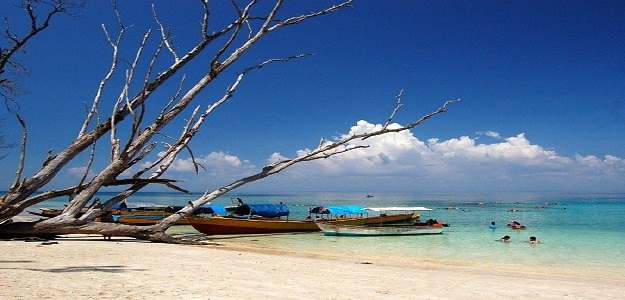 From Havelock Island – Boat Transfer to Elephant Beach - Overnight stay at Havelock Island