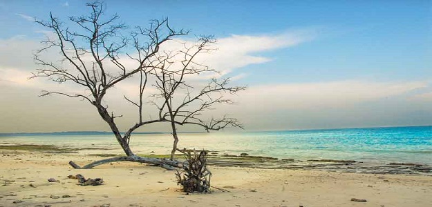 From Havelock Island – Car transfer to Kalapathar Beach -Overnight stay at Havelock Island