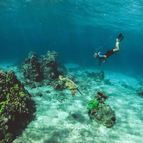 Charter Boat Trip To Turtle Beach For Snorkelling And Picnic