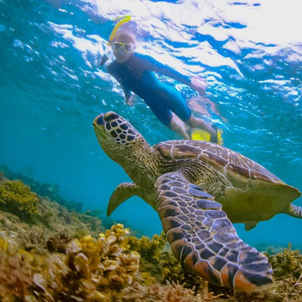 Snorkelling And Picnic Trip To Turtle Beach On Sharing Basis